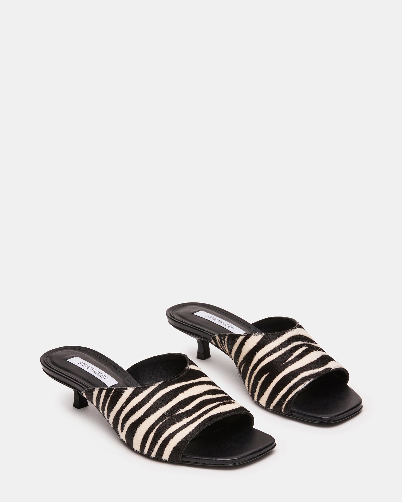 TRINA ZEBRA
