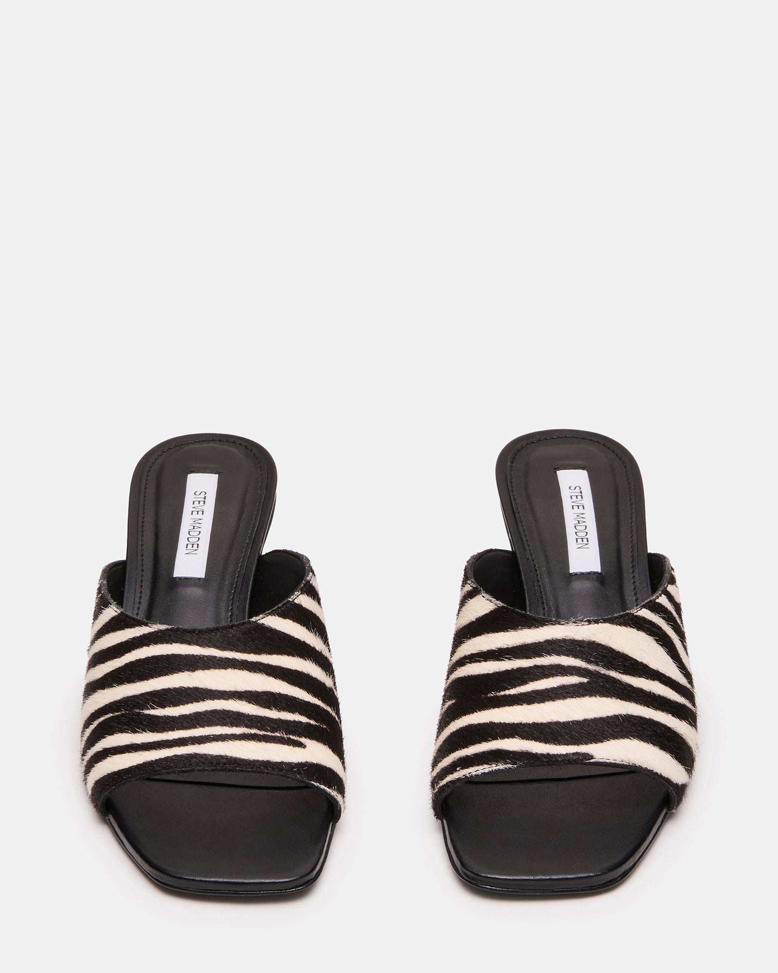 TRINA ZEBRA