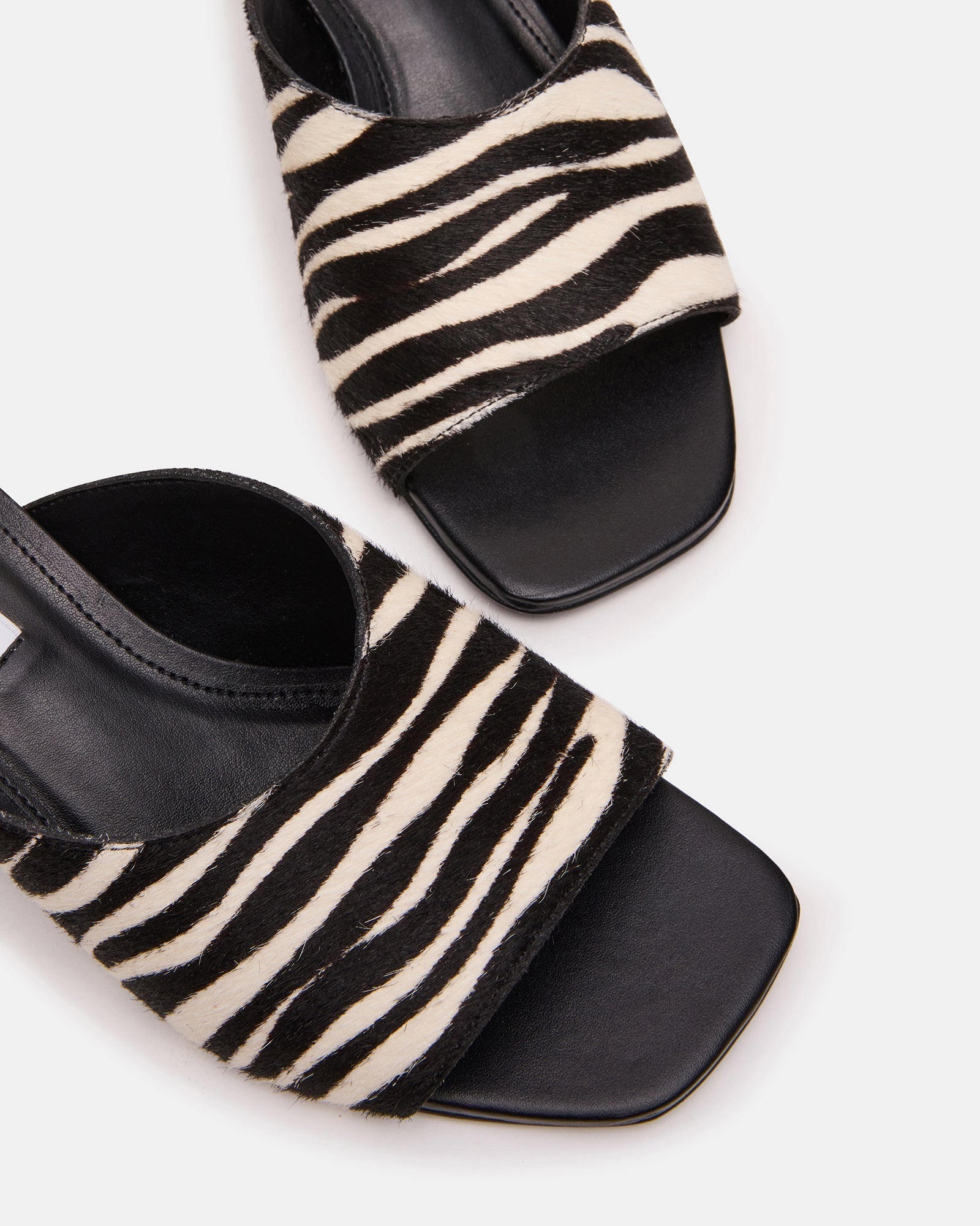 TRINA ZEBRA